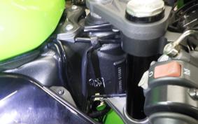 KAWASAKI NINJA ZX-6R A 2021 ZX636G