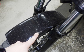 KAWASAKI 250TR 2025 BJ250F