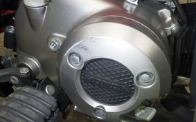 HONDA CT125 HUNTER CUB JA55