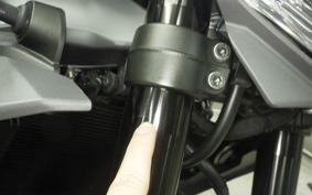 YAMAHA MT-09 2025 RN87J