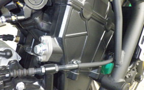 KAWASAKI Z650 RS 2024 ER650M