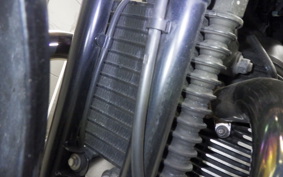 TRIUMPH BONNEVILLE T100 2014