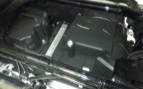 OTHER +HD. FLHX1690 2018