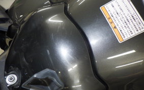 YAMAHA FZ1 FAZER 2009 RN21J