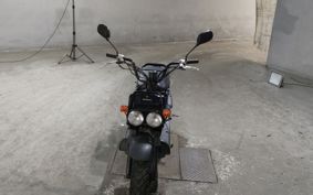 HONDA ZUMAR AF58