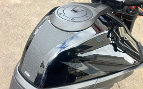 KTM 1290 SUPER DUKE R 2020 V3940