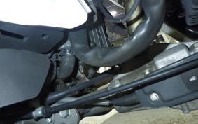 HONDA GYRO CANOPY 2024 TA03