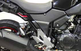 SUZUKI STROM 250 DS11A