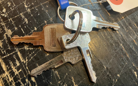 HARLEY FLSTC 1993 BJL