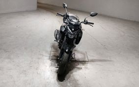 YAMAHA FZ25 RG42