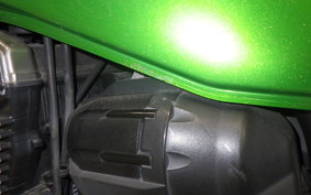 KAWASAKI ZRX1200 D 2013 ZRT20D