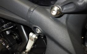 TRIUMPH TRIUMPH STREET TRIPLE 2010