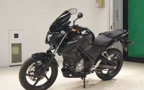 HONDA CB250FA 2006 MC43