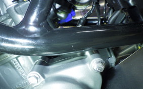 KTM 390 RC 2021