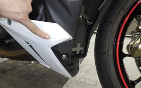 BMW S1000R 2019