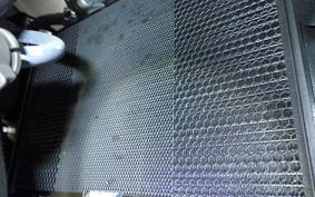 YAMAHA XSR900 GP 2025 RN96J