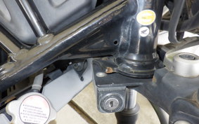 HONDA REBEL 250 MC49