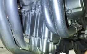 HONDA HORNET 250 2025 MC31