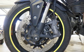 TRIUMPH TIGER1050(ショルイ