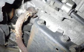 HONDA CREA SCOOPY AF55