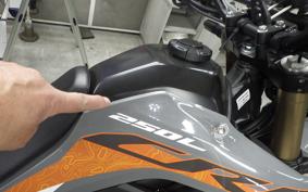 HONDA CRF250L 2021 MD47