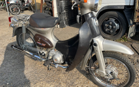 HONDA LITTLE CUB AA01