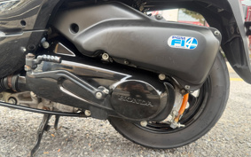 HONDA GIORNO AF70