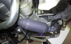 HONDA C50 SUPER CUB 2009 AA09