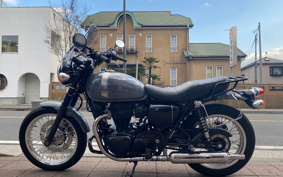 KAWASAKI W800 STREET 2023 EJ800E