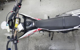 YAMAHA WR250X 2016 DG15J