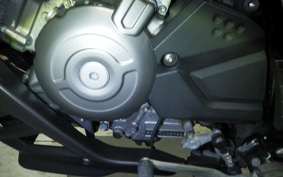 SUZUKI DL650 ( V-Strom 650 ) XTA 2019 C733A