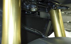 HONDA CB1000 HORNET SP 2026 SC86