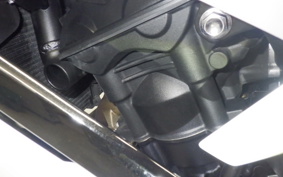 TRIUMPH DAYTONA 660 2024