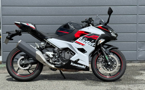 KAWASAKI NINJA 400 2019 EX400G