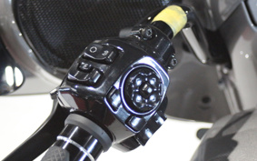 HARLEY  HARLEY FLHXSE CVO 2024 PX6