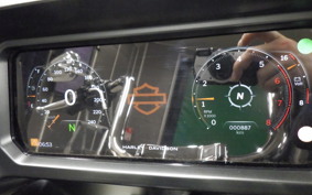 HARLEY FLTRX1920 2025