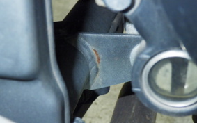 KAWASAKI NINJA 250 ABS EX250L