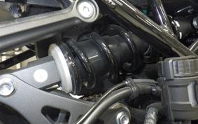 KAWASAKI Z900RS 2019 ZR900C