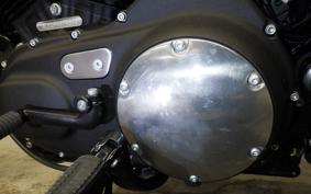 HARLEY XL883N 2021