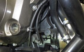 SUZUKI DL1000 ( V-Strom 1050 ) 2024 EF11M