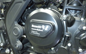 BENELLI レオンチーノ250 1996