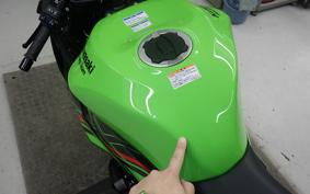 KAWASAKI NINJA ZX-6R A 2024 ZX636J