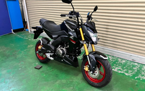 KAWASAKI Z125 PRO BR125H