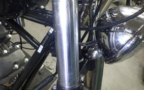 OTHER +UNREGISTERED MODEL by BDS1340 2026