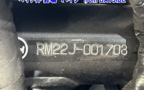 OTHER XSR700 2019