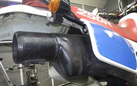 HONDA XR250R