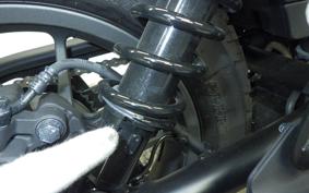 HONDA REBEL 250 E-Clutch 2025 MC49