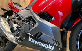 KAWASAKI Ninja 250 ABS EX250P