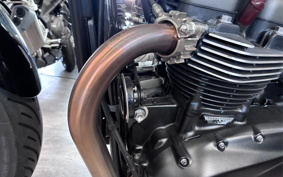 TRIUMPH SPEED TWIN 900 2025 DP0G21