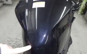KAWASAKI Z250 Gen.2 2025 EX250Y
